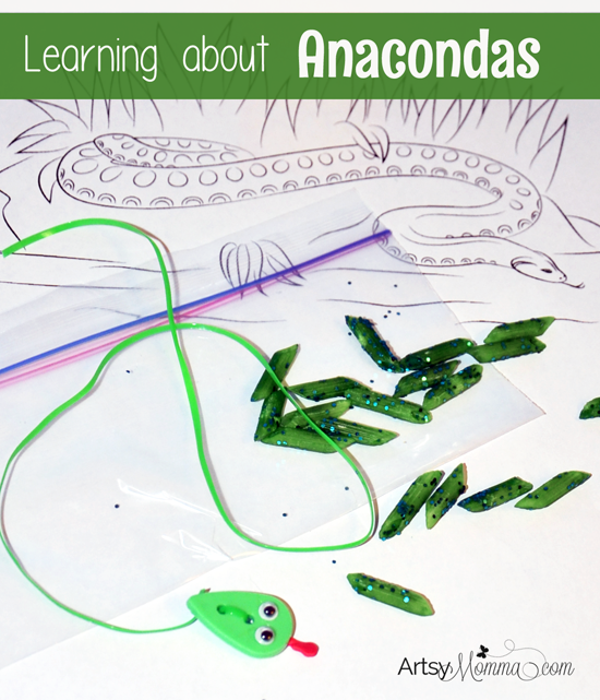 Preschool Rainforest Theme: Learning about Anacondas