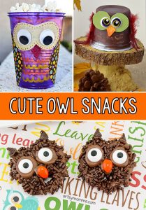 Fun Owl Snacks & Party Treat Ideas